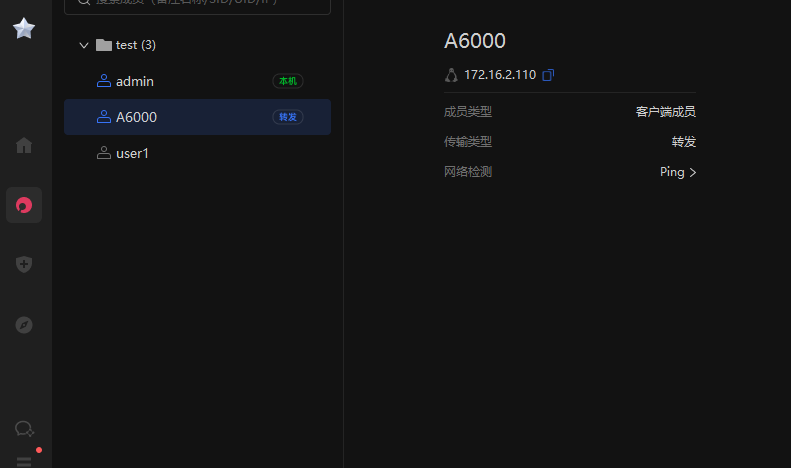 蒲公英客户端 A6000 网络检测示例
